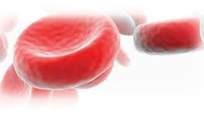 Iron and Anemia in Cancer Patients