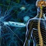 A Naturopathic Approach to Multiple Sclerosis