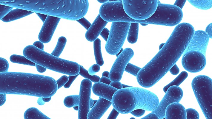 What You Need to Know about Probiotics