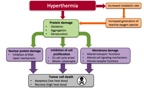 hyperthermia cancer treatment