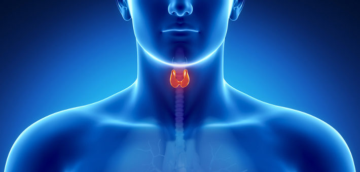 Free Webinar on Thyroid Health