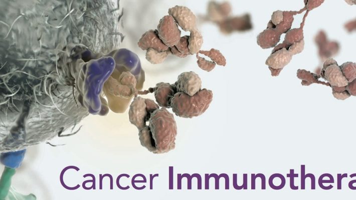 Using Natural Therapies with Cancer Immunotherapy