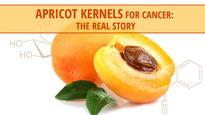 Apricot Seeds for Cancer?